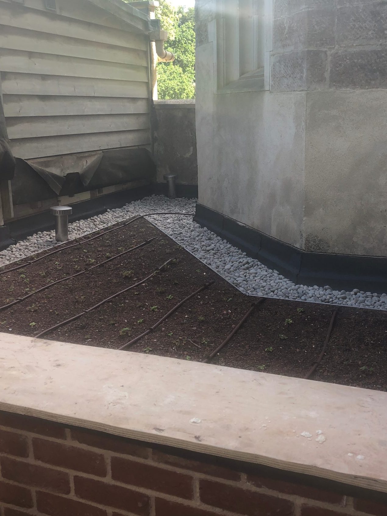 Small plants in soil on small area of flat roof in front of old stone wall of building