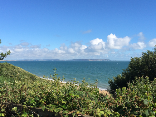 View across sea of the Isle of Wight with foliage in foreground and blue sky.